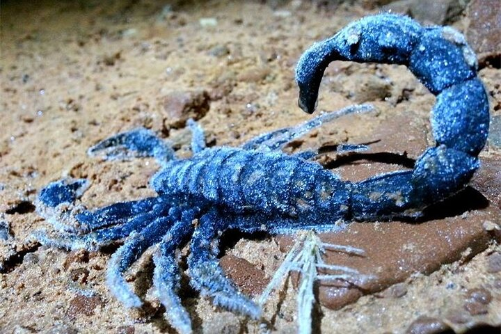 Sedona Dark Sky Sunset & Night Hike With a Private Guide - Photo 1 of 25